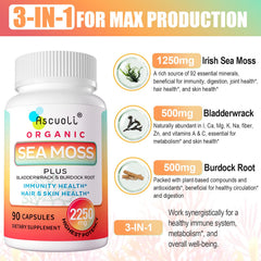 Ascuoli capsules closeup highlighting texture and easy swallow size