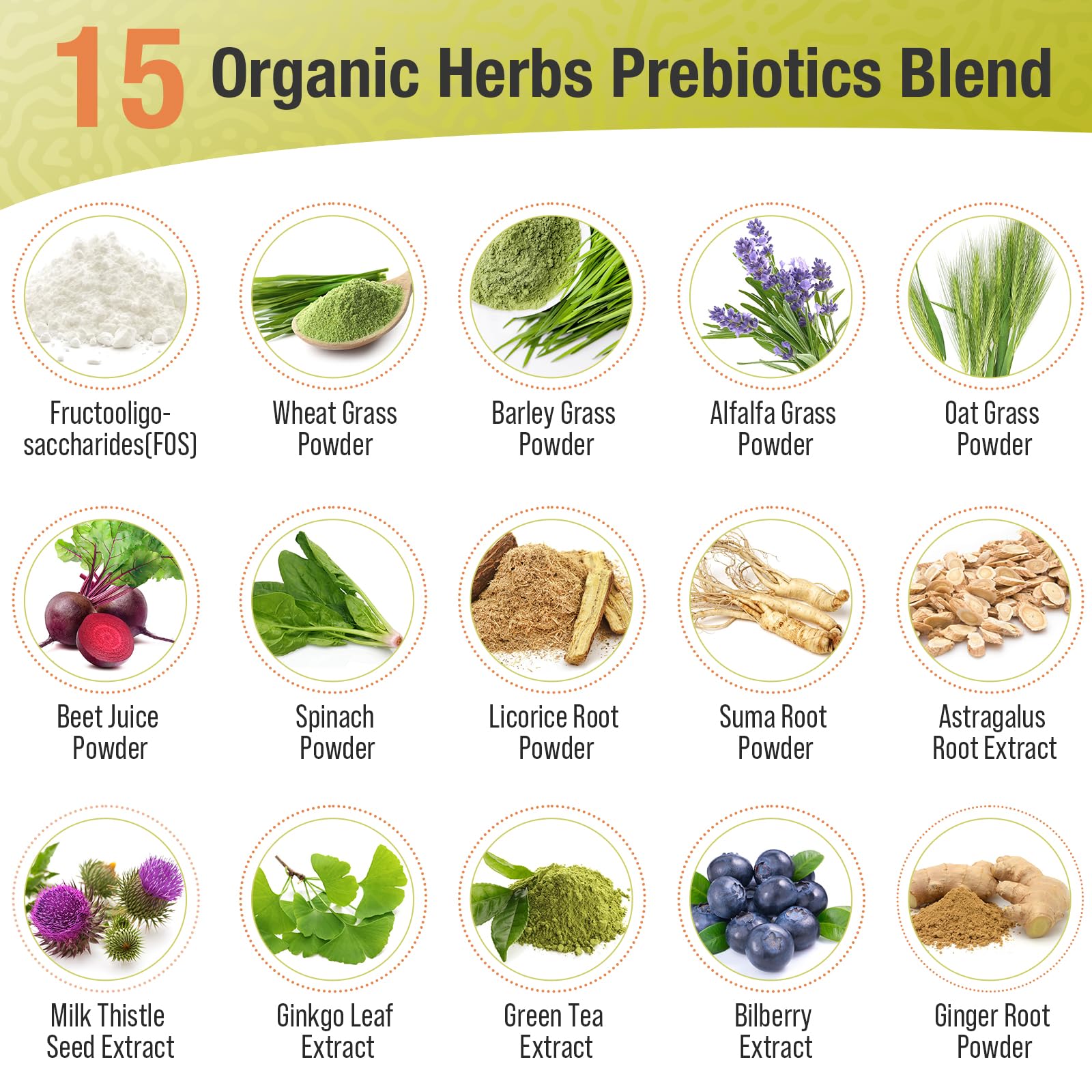 Ascuoli Probiotics with 15 organic herbs blend for immune and gut health