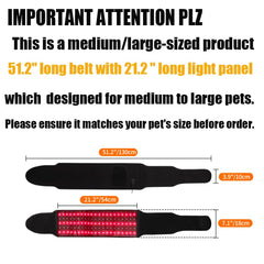 Asenei red light therapy belt customizable settings for tailored sessions.