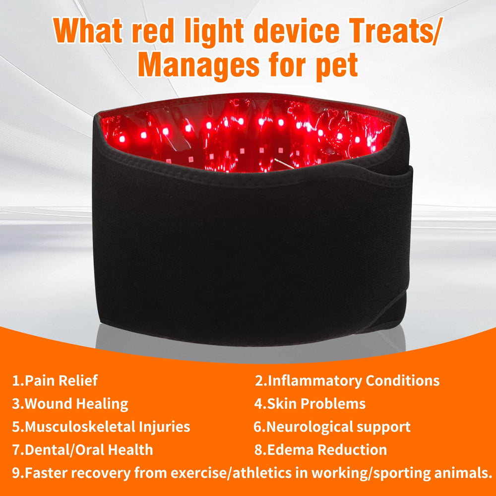 Asenei red light therapy belt in-use on dog hip and back areas.