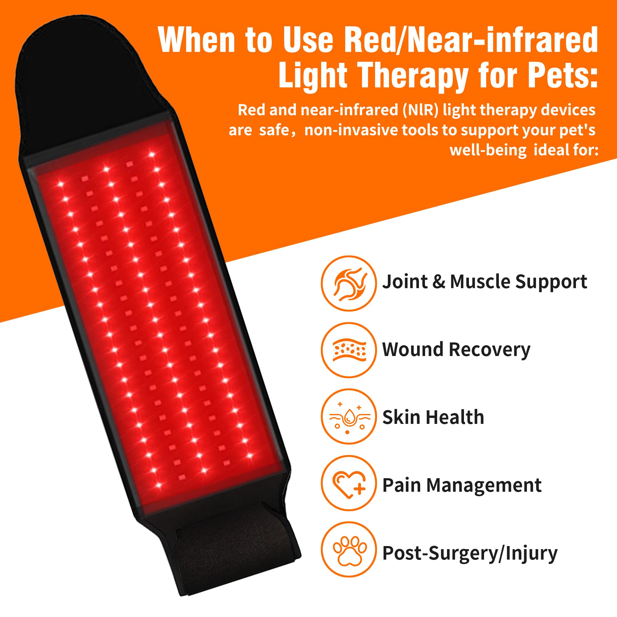 Asenei red light therapy belt for horses and other pets.