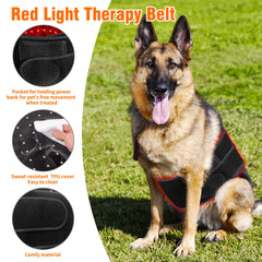 Asenei red light therapy belt portable design for on-the-go pet care.