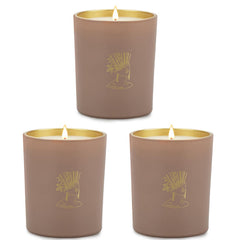 ASOEOSA candle with gold foil jars adds luxe decor and inviting glow.