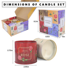 ASTRAEA 8oz jar candle in living room creating ambient scent