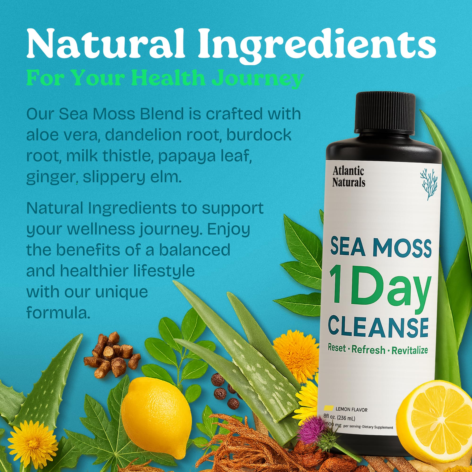 Atlantic Naturals packaging and label showcasing full body detox benefits.