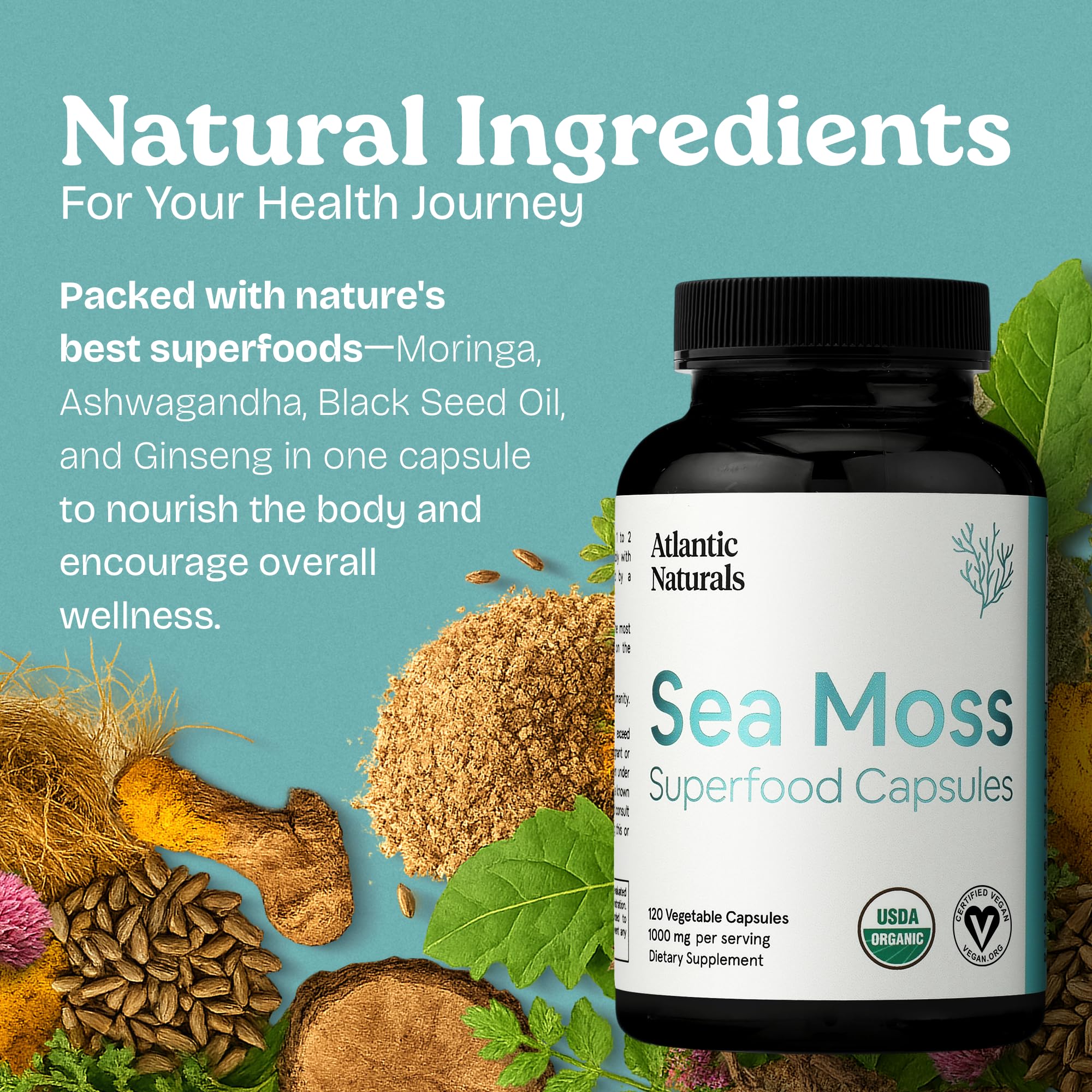 Energetic scene conveys focus benefits from Atlantic Naturals sea moss blend.
