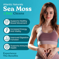 Atlantic Naturals detox ingredients bowl featuring sea moss and botanicals for vitality.