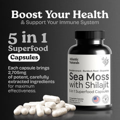 Atlantic Naturals Sea Moss Shilajit capsules blister pack for on-the-go vitality and consistency.