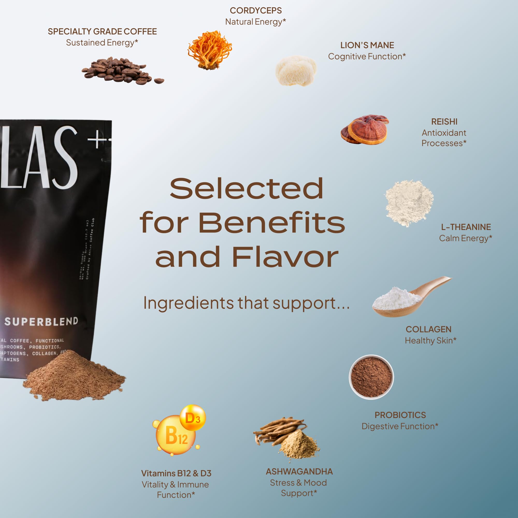 Ingredients label featuring lion’s mane and reishi in Atlas+ Superblend