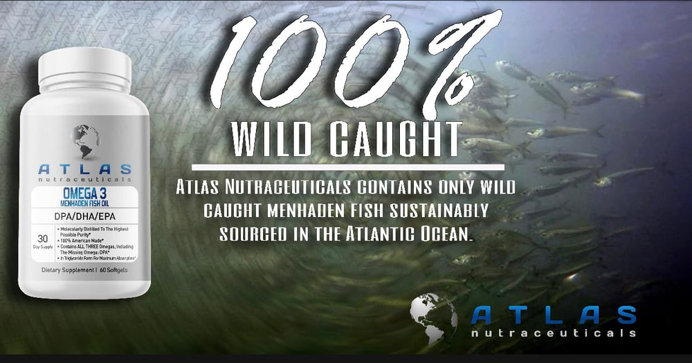Atlas Nutraceuticals label close-up emphasizes 2400mg fish oil per serving.