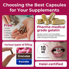 ATLEMISME Halal-certified pork-free capsules for clean sourcing.