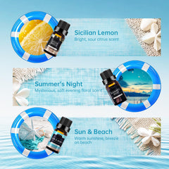 Auelife Summer Set beach-scene image showcases vacation vibes and calm.