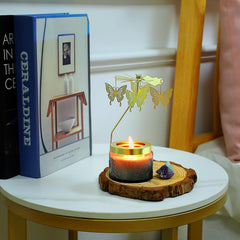 Auelife vanilla cream butterfly gift candle lights celebrations with warm mood.