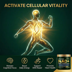 Auivty CoQ10 and Trans-Resveratrol capsules show premium renewal for balanced aging support.