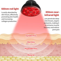 Aumtrly red light therapy bulb side view highlighting compact home use design.