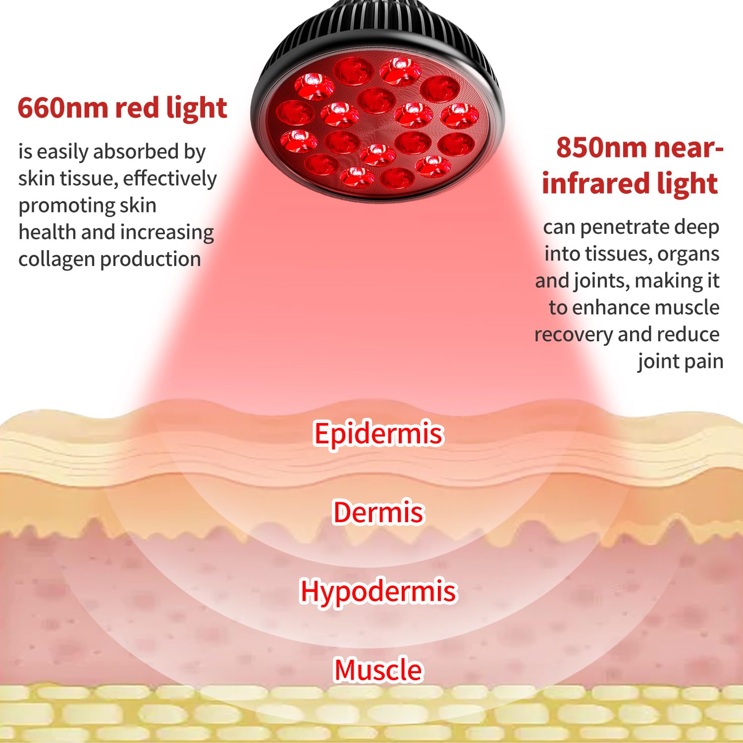 Aumtrly lamp height adjustment lets precise targeting for facial or body use.