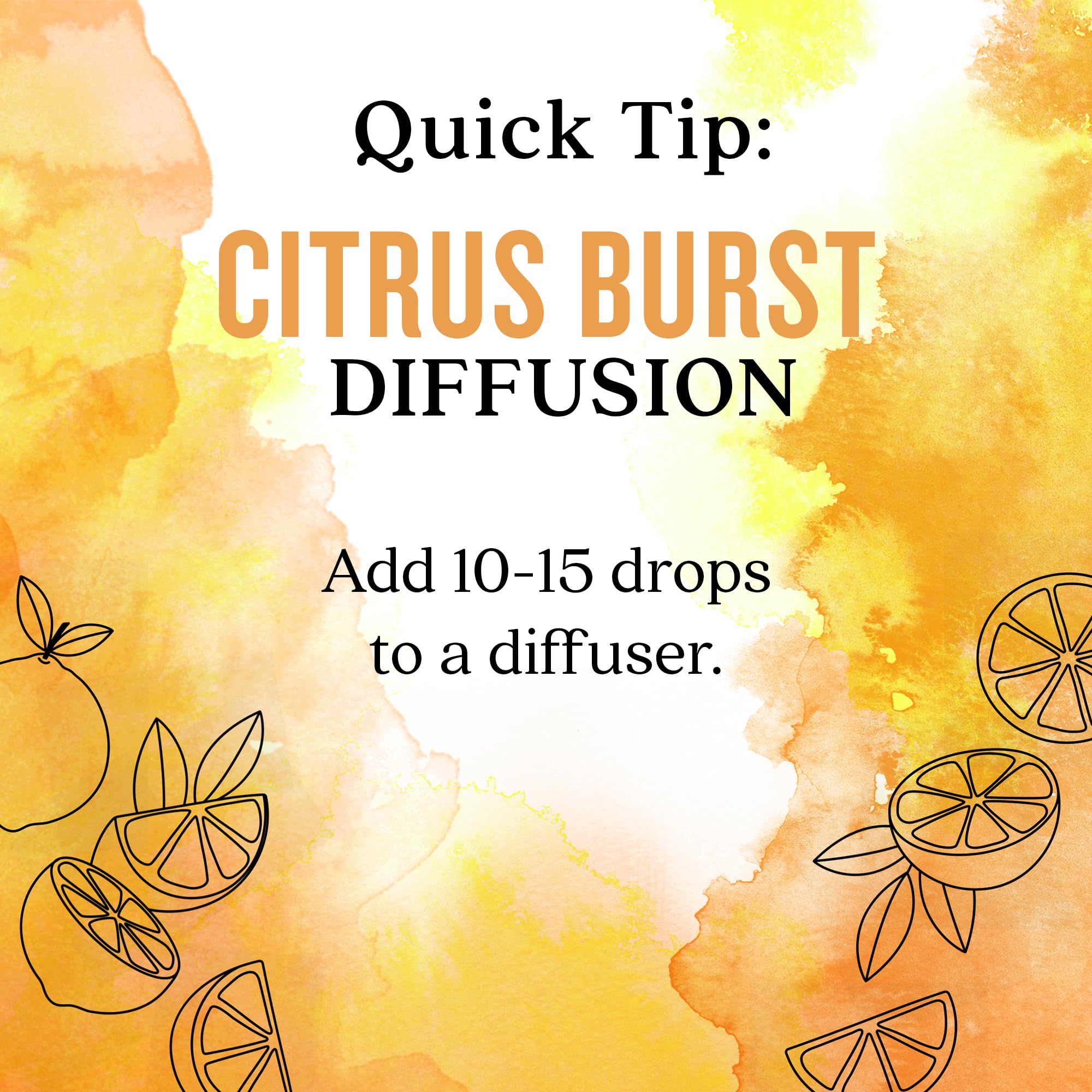 Aura Cacia Citrus Burst gift-ready packaging for aromatherapy exploration