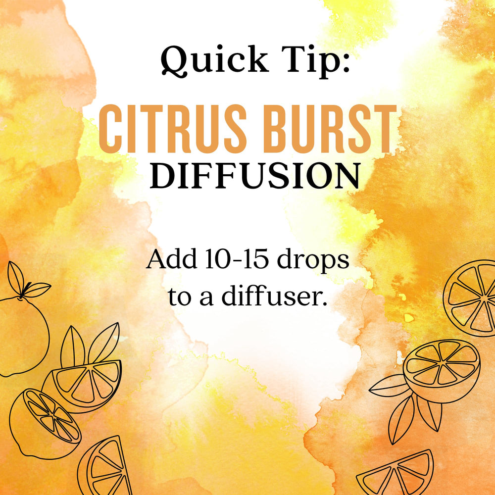 Aura Cacia Citrus Burst gift-ready packaging for aromatherapy exploration