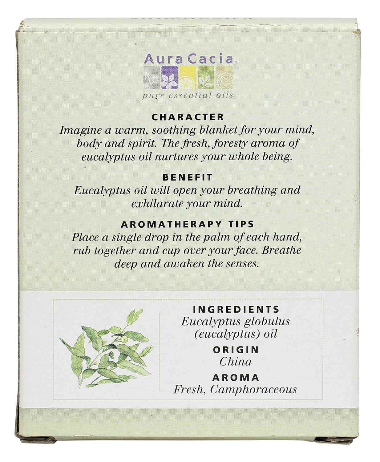 Aura Cacia Eucalyptus label detail, featuring Eucalyptus globulus purity.