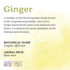Aura Cacia Ginger diffusing to create a soothing atmosphere.