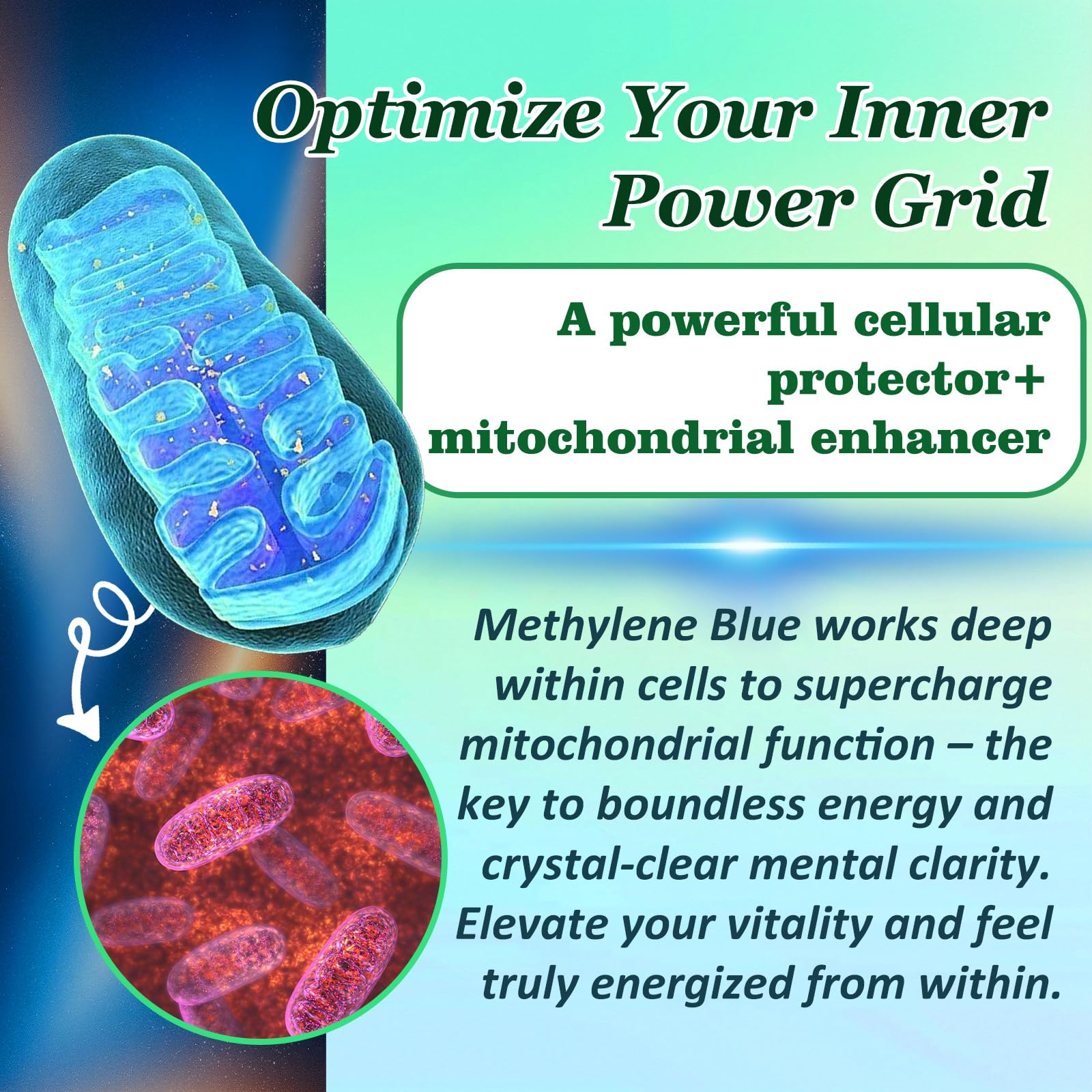 Graphic of 11-in-1 nootropic ingredients including L-Theanine and Alpha-GPC.