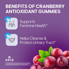 Avid Playboy cranberry gummies bottle back, vegan and allergen-friendly formula