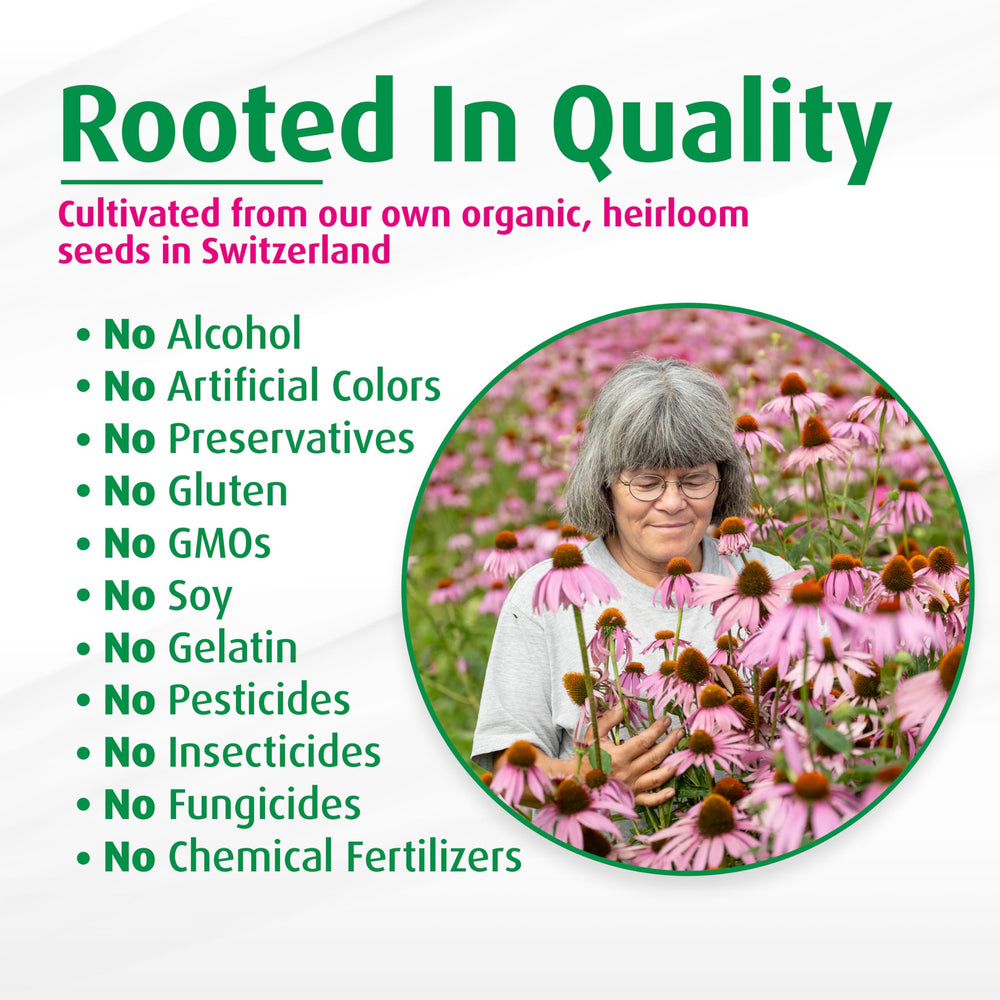 A.Vogel Echinaforce alcohol-free, color-free formula without common allergens.