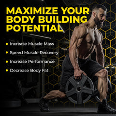 Avry Labs L-Creatine label closeup highlights leucine and HMB ingredients