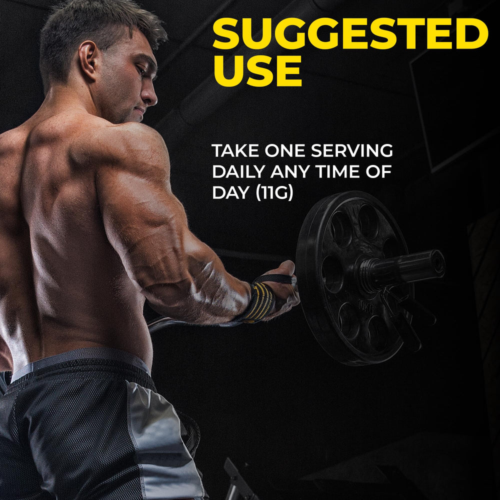 Avry Labs Leucine powder bottle emphasizes protein synthesis support