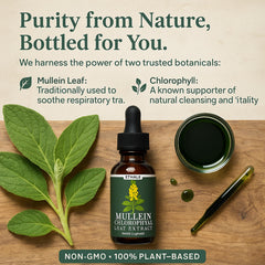 Awtse ETHALE Mullein Drops label detail with non-GMO formulation