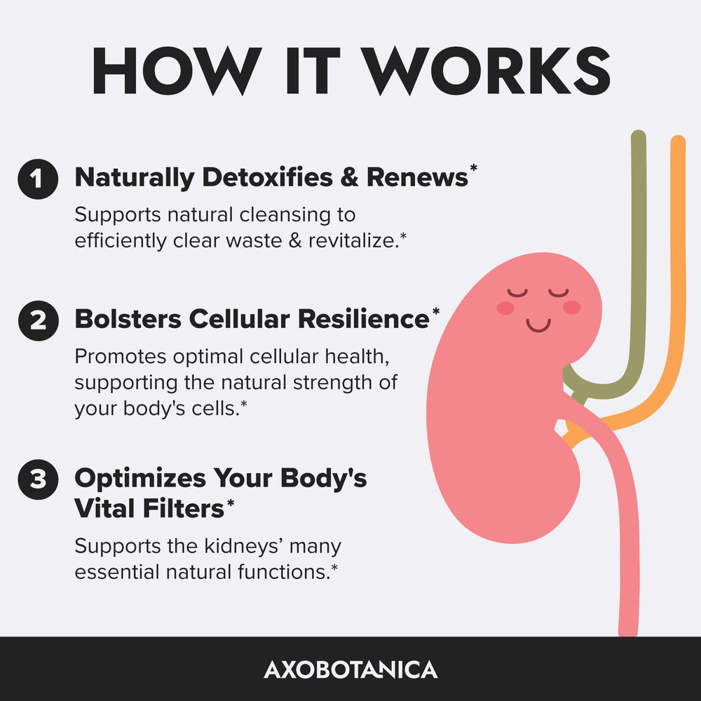 Axobotanica Kidney Cleanse serving with water to illustrate daily ritual.
