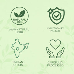 AYURVEDASHREE Gymnema sylvestre leaves close-up showing natural texture and purity.