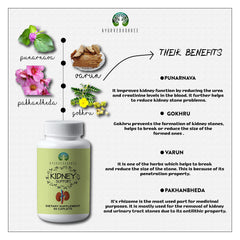 AYURVEDASHREE Kidney Support caplets closeup, 1000 mg each for convenient daily supplementation