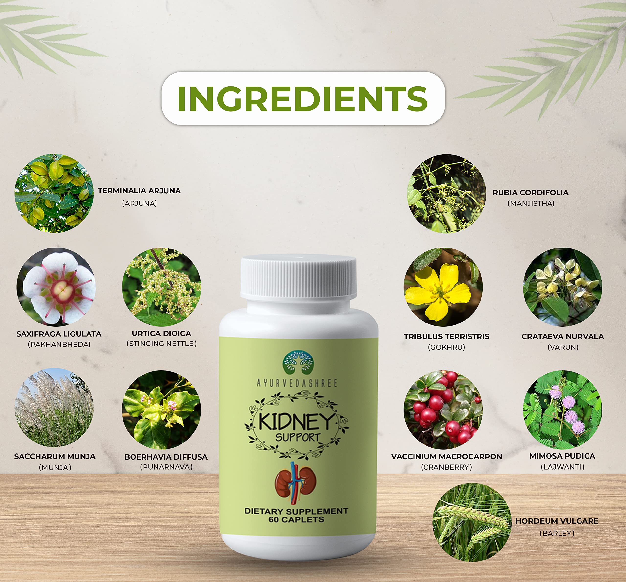AYURVEDASHREE Kidney Support daily-use scene with glass of water