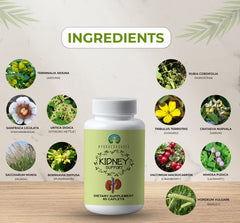 AYURVEDASHREE Kidney Support daily-use scene with glass of water