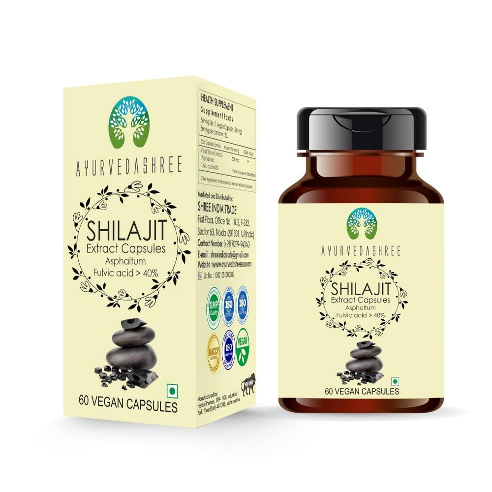 AYURVEDASHREE Shilajit 1000mg bottle for daily energy support