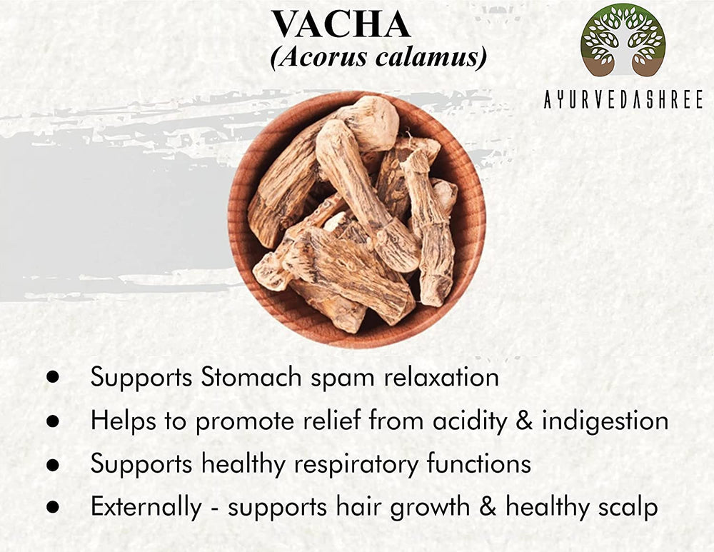 AYURVEDASHREE Vacha root powder in a spoon ready for daily use.