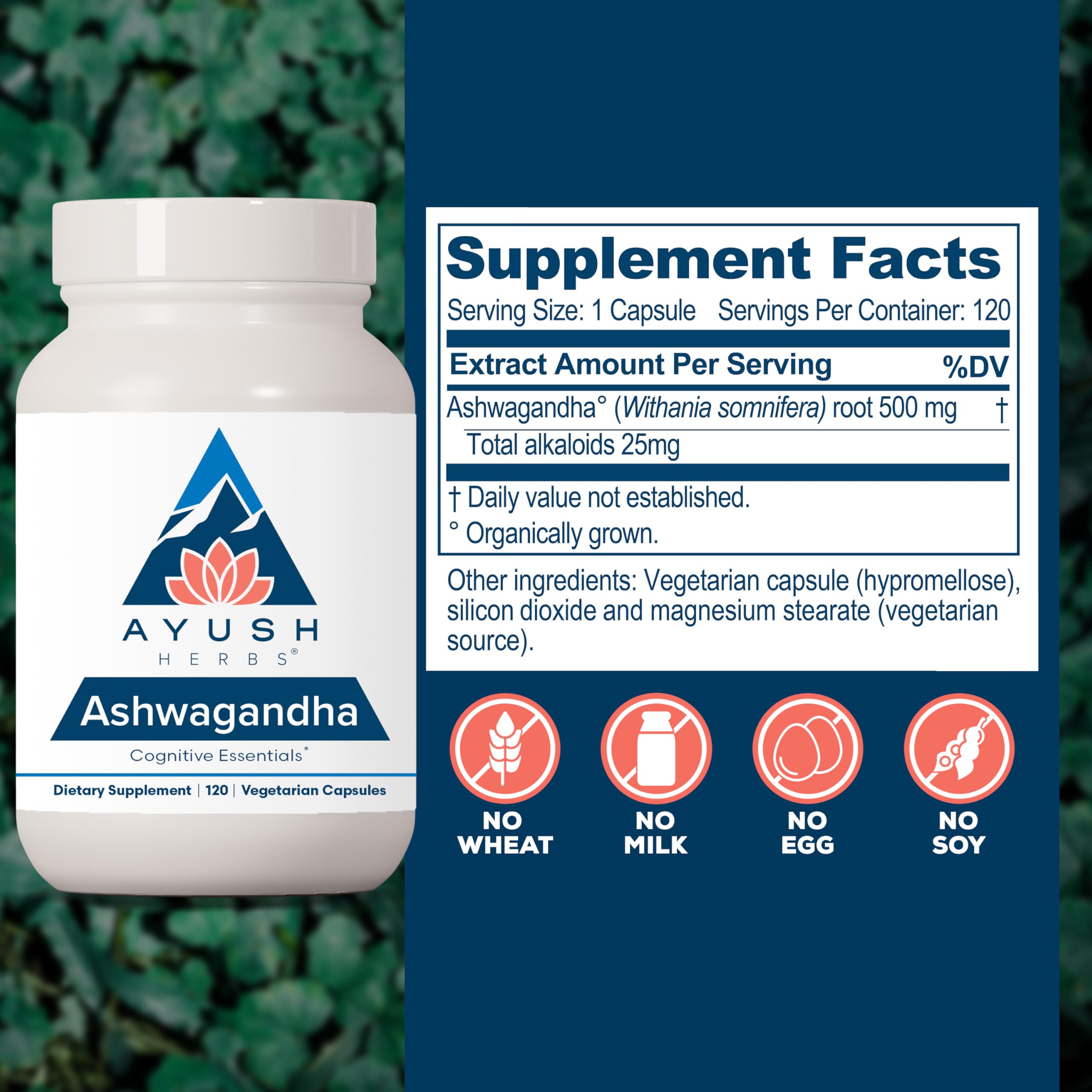 Ayush Herbs Ashwagandha capsules vegetarian caplets for balanced mood and energy