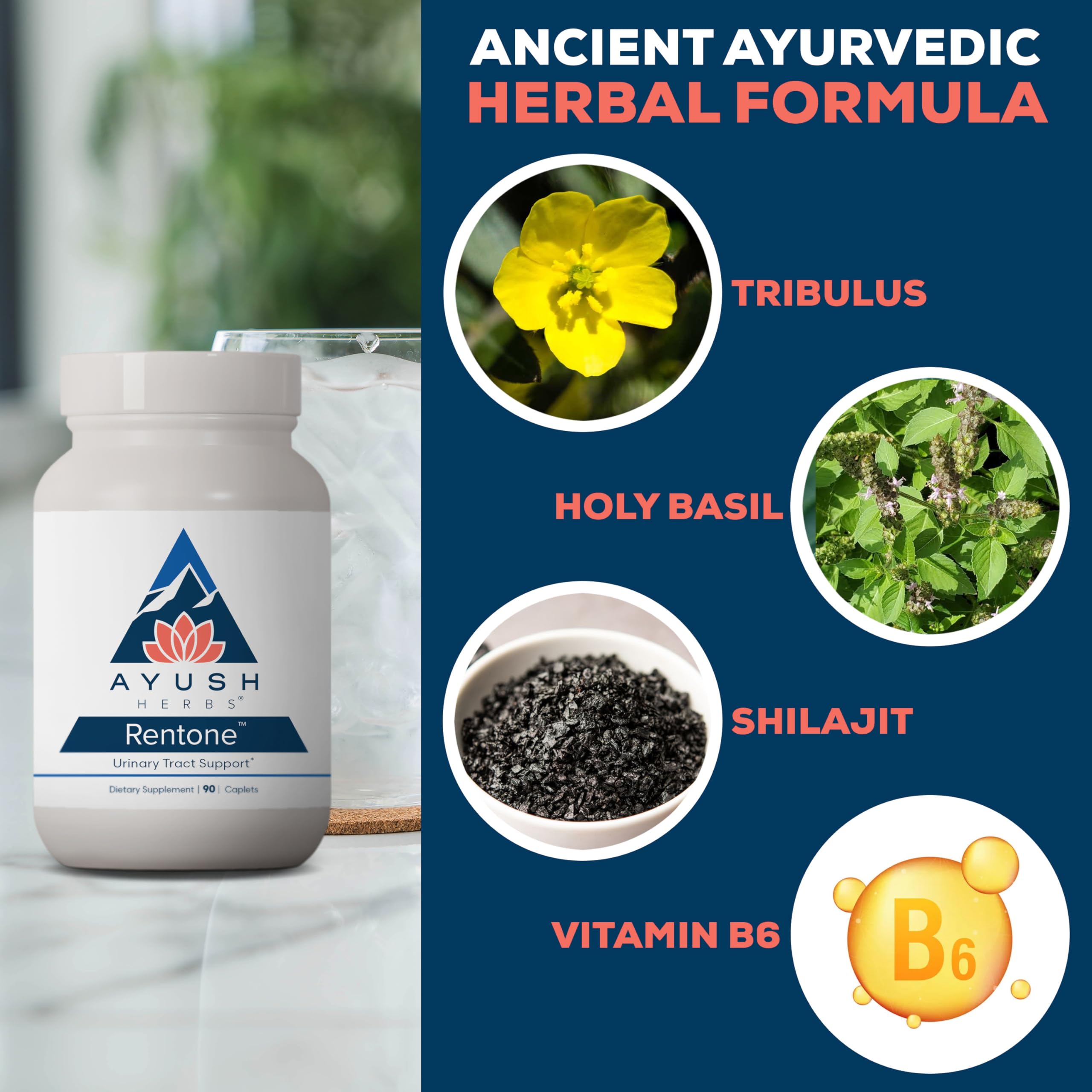 Ayush Herbs Rentone horsetail capsules support kidney health and hydration balance in daily use.