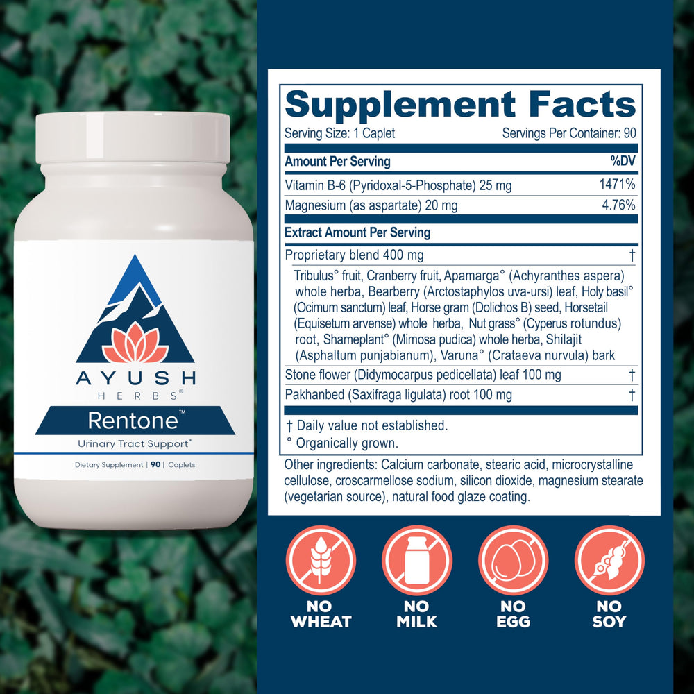Ayush Herbs Rentone uva ursi capsules emphasize bladder tone and kidney health support.