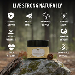 AYUSPIRIT shilajit resin spoon dosing for precise servings