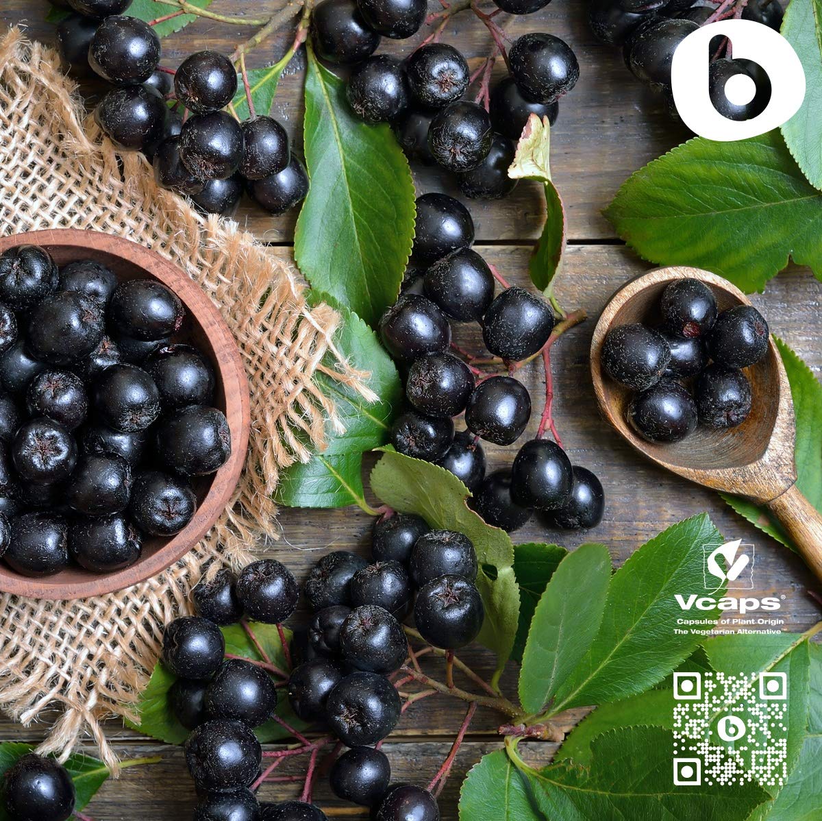 Brand b Organic Aronia Berry Capsules non-GMO claim on bottle.