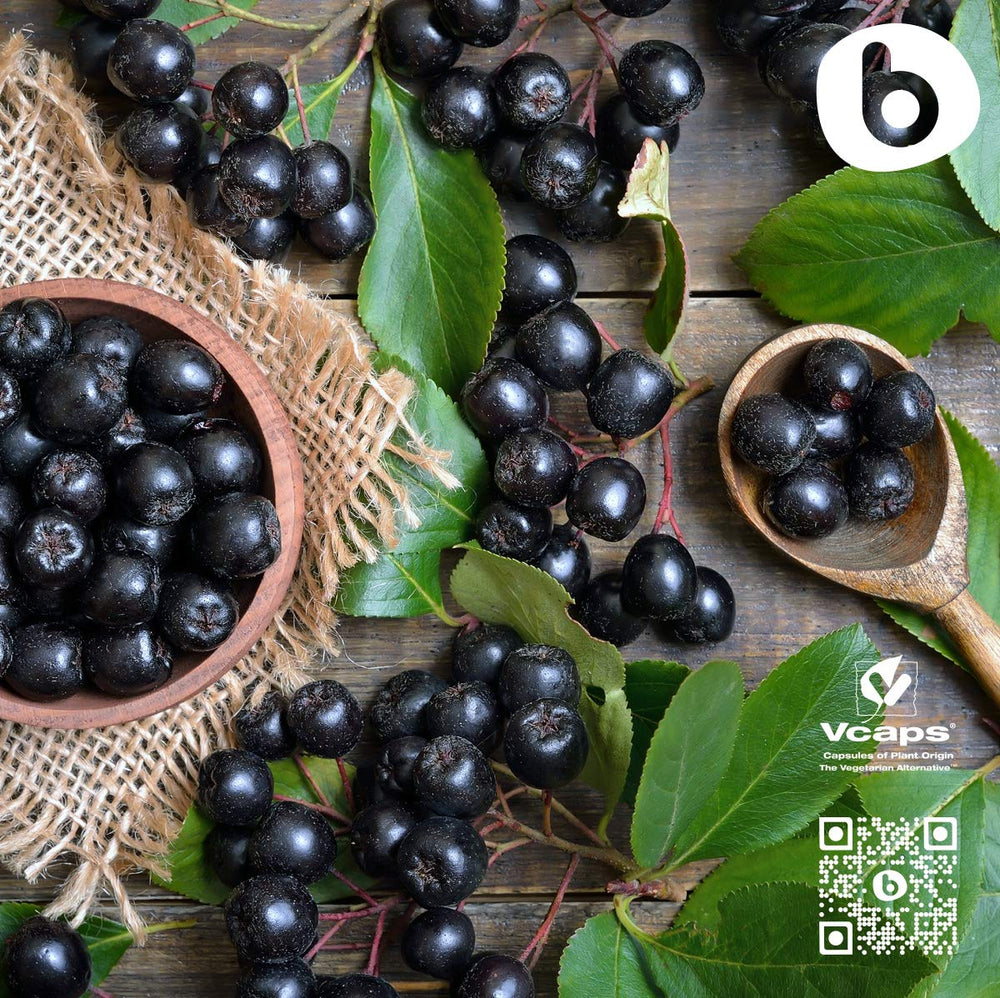 Brand b Organic Aronia Berry Capsules non-GMO claim on bottle.