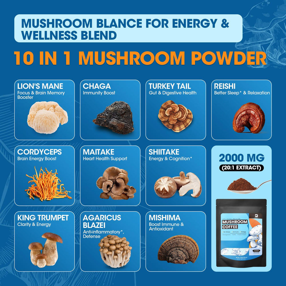 B BEWORTHS mushroom coffee blend ingredients for flavorful, functional brew