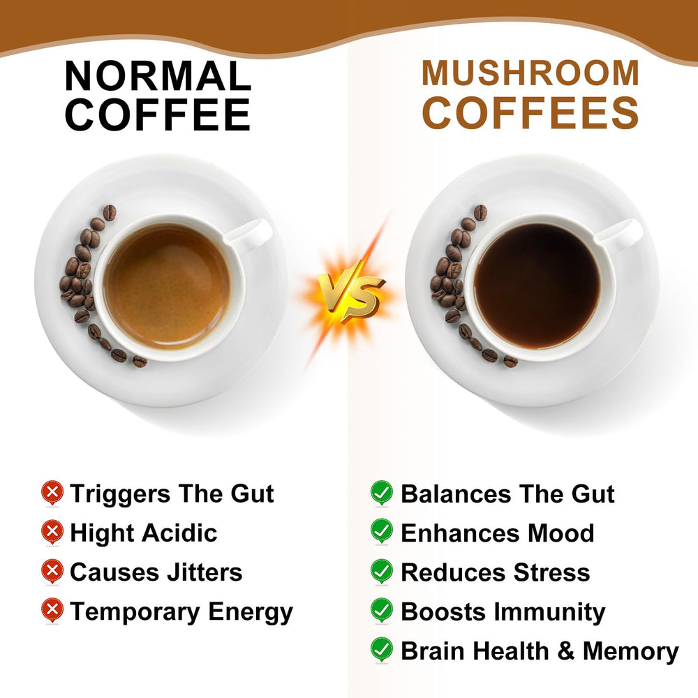 B BEWORTHS Turkey Tail rich mix supports digestive comfort during busy days.