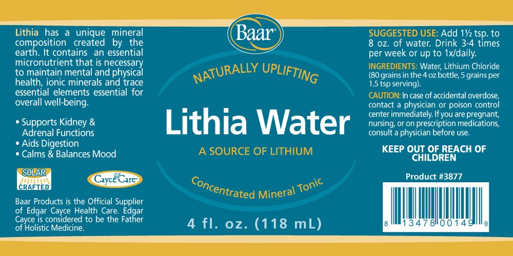 Baar Lithia Water bottle in athletic bag for workouts.