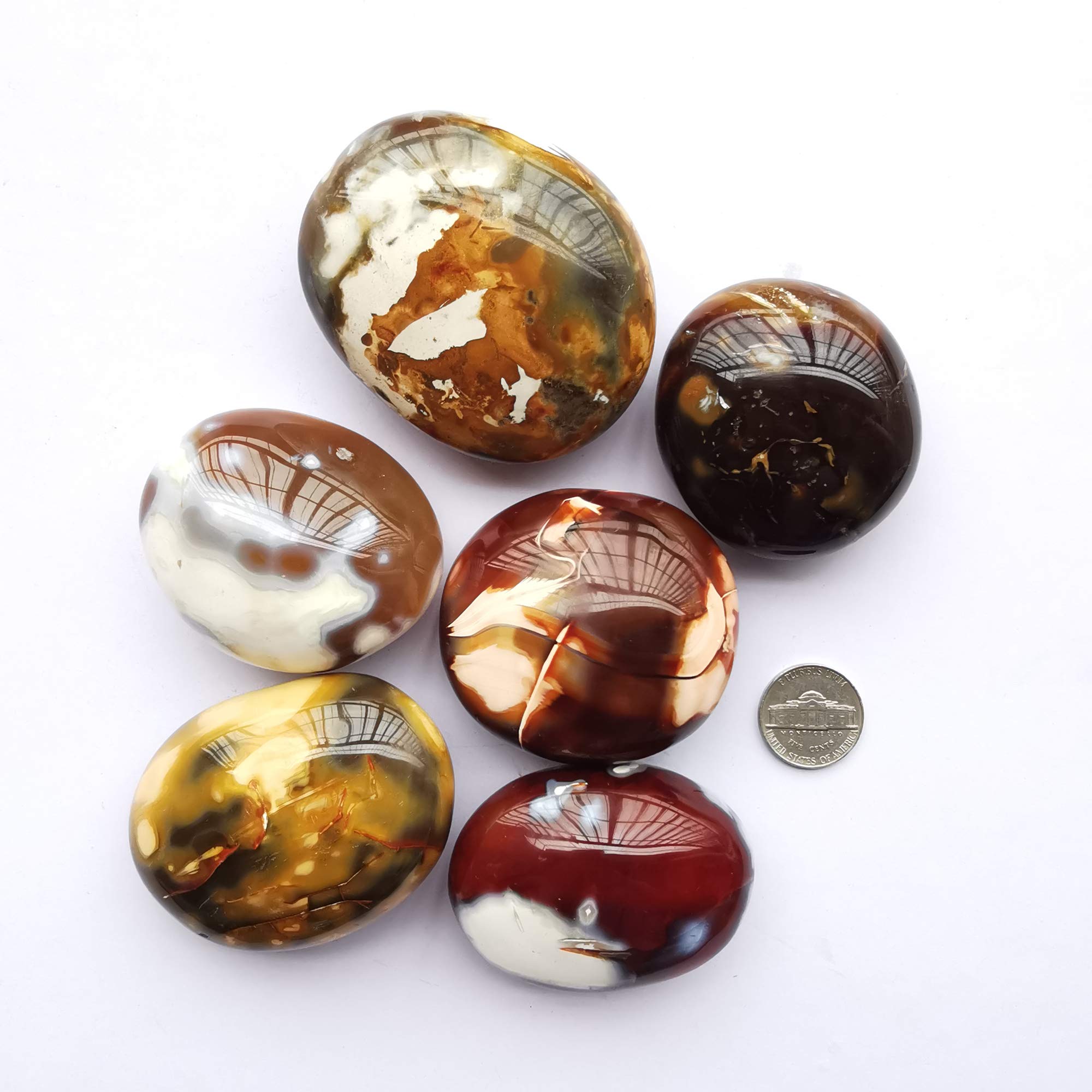 Bacatgem palm stone pocket display; decorative, ready for daily calm.