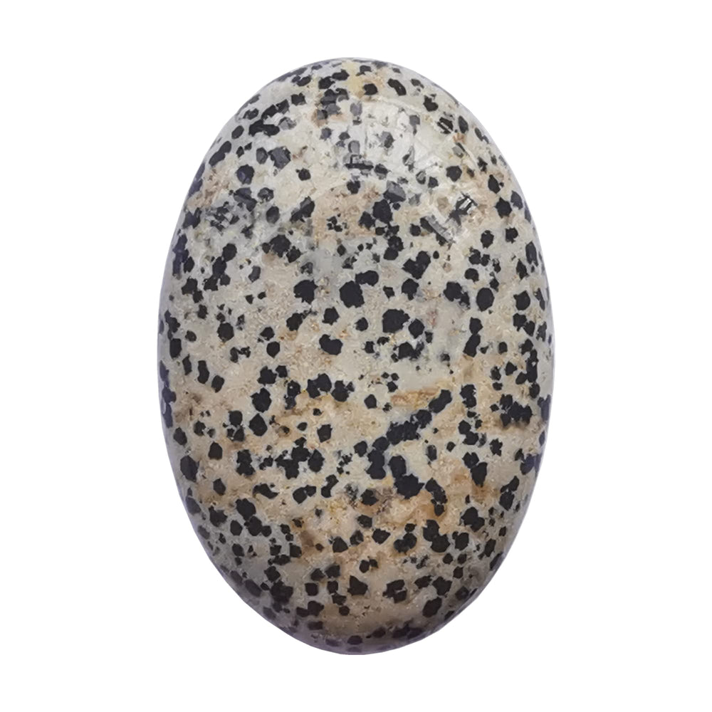 Bacatgem Speckle Dalmation oval palm stone for relaxation and mindfulness.