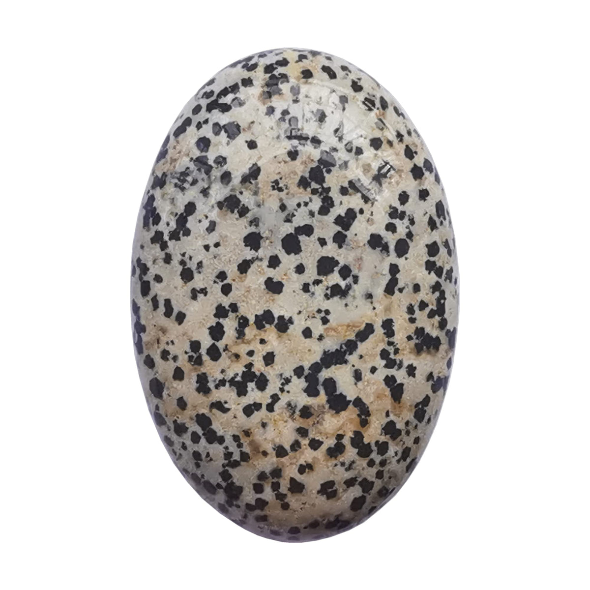 Bacatgem Speckle Dalmation oval palm stone for relaxation and mindfulness.