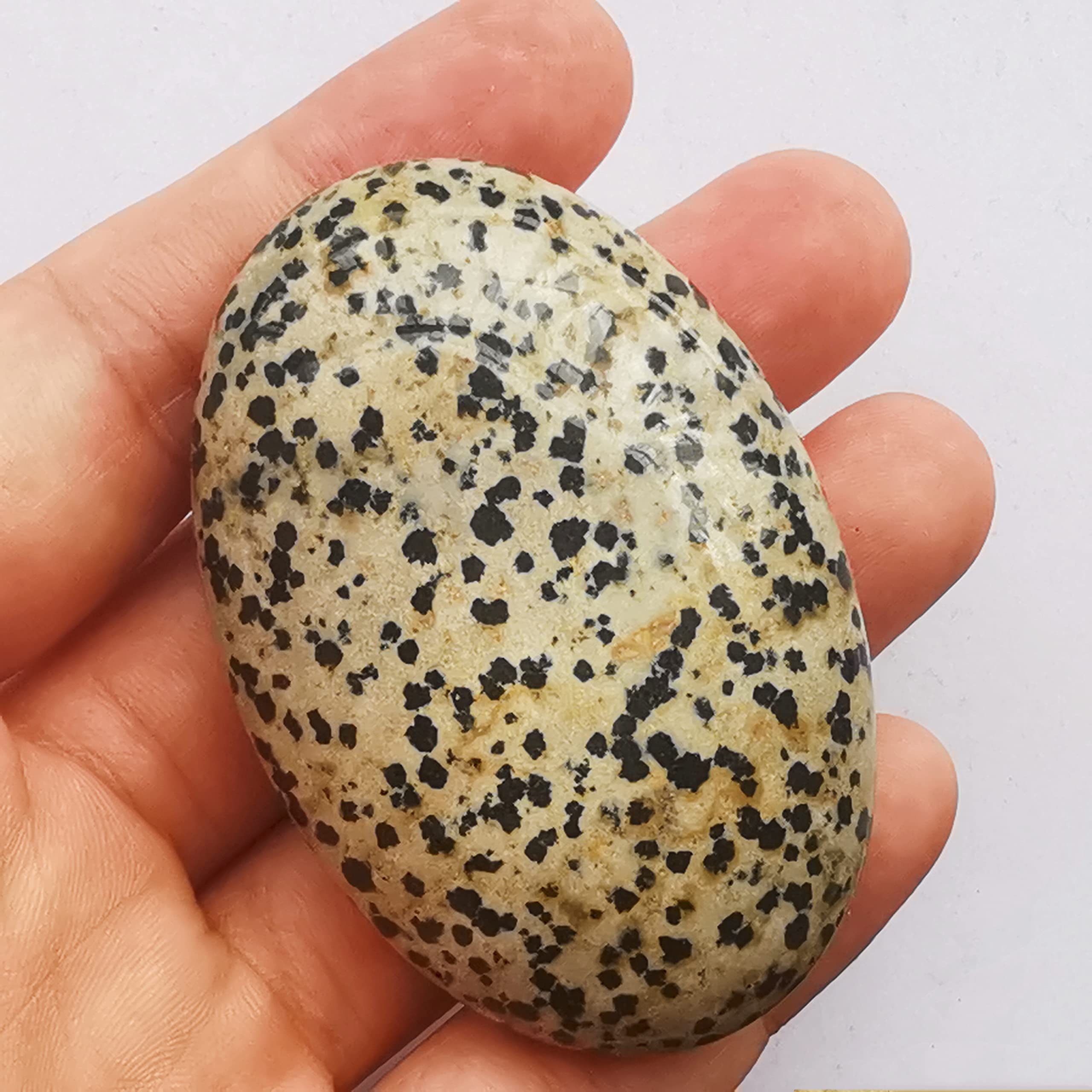 Bacatgem Speckle Dalmation worry stone in hand for meditation focus.